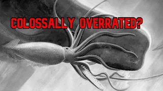 How Colossal Is The Colossal Squid?