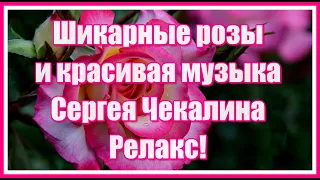 Для вас, мои друзья, шикарные розы и красивая музыка Сергея Чекалина! Супер релакс!