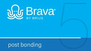 BRAVA Bonding 05: Post Bonding