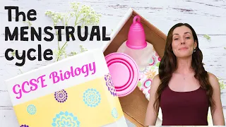 THE MENSTRUAL CYCLE GCSE Biology 9-1 | Combined Science (Revision & Qs)