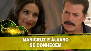 Coração Indomável - Maricruz e Álvaro se conhecem