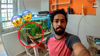 💥“Simple” ആണന്നു വിചാരിക്കും പക്ഷെ അല്ല !! | planted aquarium maintenance in Malayalam
