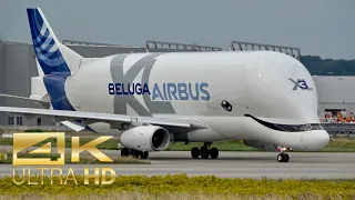 (4K) Airbus A330-743L Beluga XL 3 F-GXLI departure at XFW Airbus Hamburg