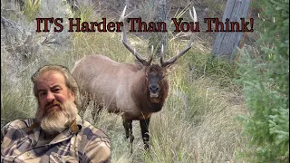 Colorado Elk Hunting - It's Harder Than You Think!