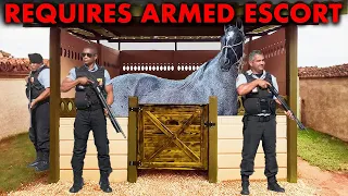 How Does The Most Expensive Horse In The United States, Valued At $7000000, Lives?