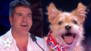 BRITAIN'S GOT TALENT Full Episode 8 SEMI FINAL AUDITIONS 2015 Season 9