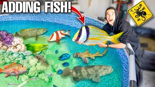 Catching EXOTIC FISH to Add to My SALTWATER POND! (New Pond Coming!)