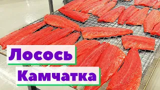 Лосось Камчатка | Как это сделано | Salmon Russia