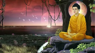 Bodhi Tree | Meditation Healing Relaxation | Ambient Meditation Music, Relaxing Music for Meditation