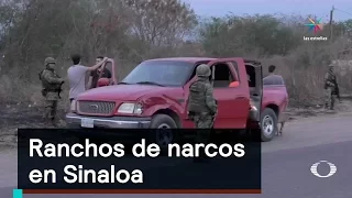 Inseguridad: Ranchos de narcos en Sinaloa - Denise Maerker 10 en punto