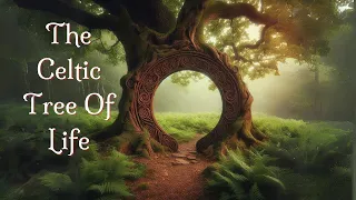 The Tree of Life's Link to Celtic Ancestors - Celtic Tree of Life Storytime