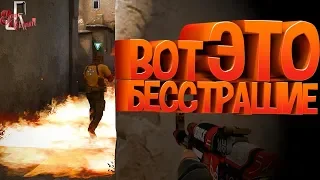 Вот это бесстрашие ( Deus Ex / PUBG / CS GO )