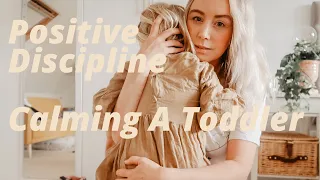 HOW TO CALM A TODDLER IN MINUTES | Positive Discipline For Toddlers - SJ STRUM