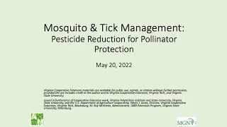 Controlling Mosquitoes & Ticks in Your Yard Without Pesticides, 2022