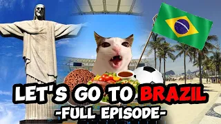 CAT MEMES: FAMILY VACATION COMPILATION TO BRAZIL + EXTRA SCENES