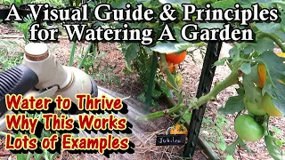 How to Really Water a Vegetable Garden: The Principles & Visual Examples for a Thriving Garden