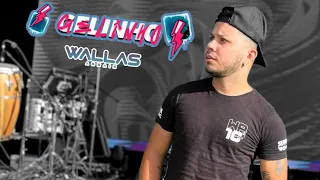 🧊 GELINHO 🧊 -  WALLAS ARRAIAS #gelinho #aovivo #percussao #show #forrozão