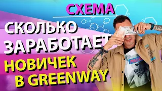 Первые деньги в Гринвей. СКОЛЬКО? КАК? Схема за 20 минут выхода на 10к-60к дохода.