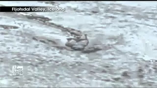 Icelands Nessie ?Amateur video shows mysterious 'creature' in Iceland