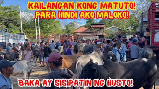 KAILANGAN KONG MATUTO PARA HINDI AKO MALOKO! | BAKA AY SISIPATIN NG HUSTO! | SOLLE'S GANDANG BUHAY