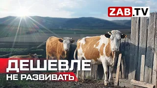 Сельскохозяйственный крах. Угодья есть - продукции нет.