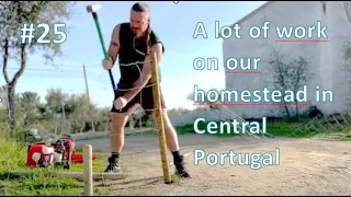 #25 Planting trees on our homestead in Central Portugal