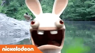 Rabbids Invasion | Look Closely... | Nick