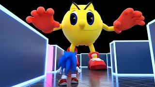 Sonic the Hedgehog vs Pac-man (Unleashed)