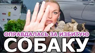 ВОЛОЧКОВА ОПРАВДАЛАСЬ ЗА ИЗБИТУЮ СОБАКУ. ВОЛОЧКОВА ПНУЛА СОБАКУ.ВОЛОЧКОВА.СОБАКА