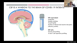 Neurological symptoms during and after COVID-19: What can we learn from the cerebrospinal fluid?