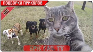 Подборка приколов за Январь 2016 (+18) #16 A selection of jokes for January 2016