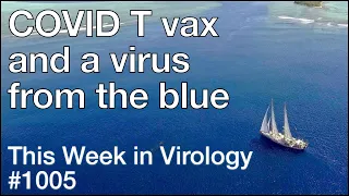 TWiV 1005: COVID T vax and a virus from the blue