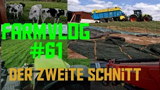 FarmVLOG#61 der zweite Schnitt/ im Baum gelandet/raus auf die Weide/neue Schaufel für den Weidemann