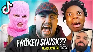 TIKTOK: VEM ÄR FRÖKEN SNU5K?! *skrattfest*