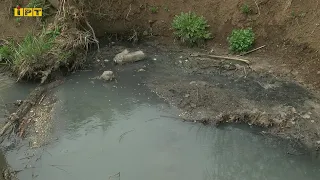 Сім показників проб води з Пушкарівських ставків мають відхилення від норми