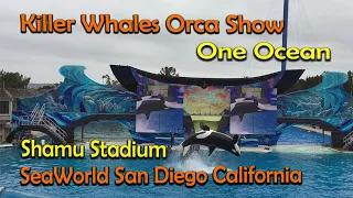 Killer Whales Orca Show One Ocean in Shamu Stadium | SeaWorld San Diego California