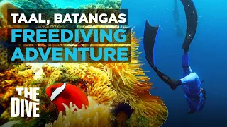 Freediving Adventure in Taal, Batangas | The Dive