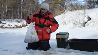 ВЕСЕННИЙ ЖОР КАРАСЯ НА ЛЕСНОЙ РЕЧКЕ! Попал в самый клёв!