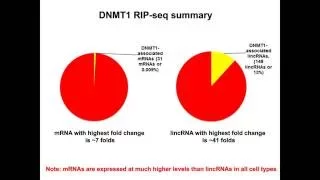 Applications for Cancer Research