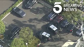 Pursuit of Mercedes-Benz Ends in Newport Beach Standoff