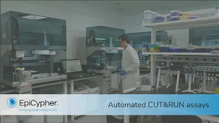Automated CUT&RUN assays for next-generation chromatin profiling