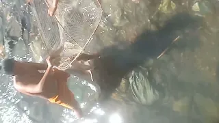 electric fishing / ang lalaki ng huling isda