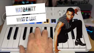 Haddaway What is Love #dancemusic live loop using Arturiaminilab3