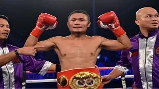 Donnie Nietes - Highlights / Knockouts