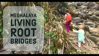 Meghalaya living root bridges. Trekking in Khasi Hills, Ritimmen and Double decker root bridge.