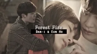 eun-ho & dan-i; forest fire [romance is a bonus book]