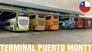 Terminales y Rodoviarios #17 | Movimiento de Buses en Terminal Rodoviario de Puerto Montt (Parte 1)