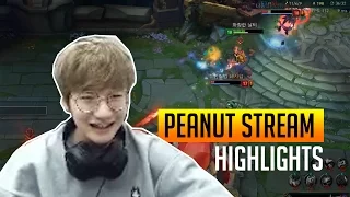 Peanut smurfing and abusing Lee Sin w/ TRANSLATION - Peanut Stream Highlights #5