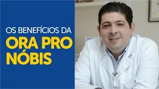 Os benefícios da planta ORA PRO NÓBIS para a nossa saúde