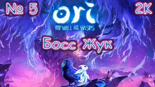 Ori and the will of the wisps № 5 Босс Жук 🔵 Прохождение 100% 🔵 ЭКСПЕРТ 🔵 БЕССМЕРТНЫЙ 🔵 2k